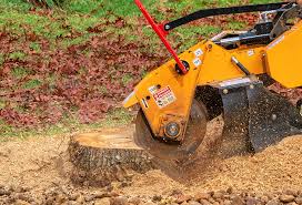 Best Tree Maintenance Programs  in Karnes City, TX