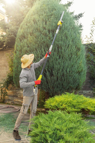 Best Fruit Tree Pruning  in Karnes City, TX